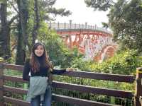 Cheonjeyeon Waterfall & Seonimgyo Bridge – Jeju 
