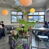 Wild Grass Cafe