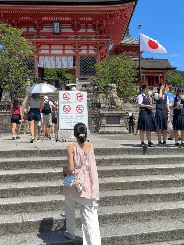 교토 당일치기 알짜배기 여행코스 🇯🇵🚌