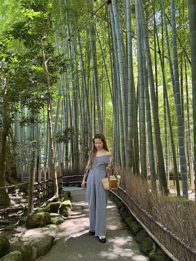 【鎌倉】報国寺の竹林