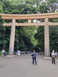 Meiji Jingu: Tokyo’s Peaceful Heartbeat in a Sacred Forest