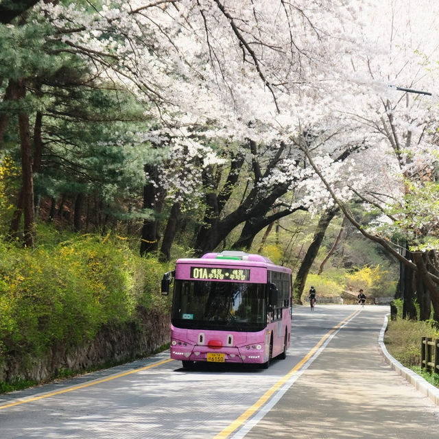 Namsan Seoul Tower 🗼🌆