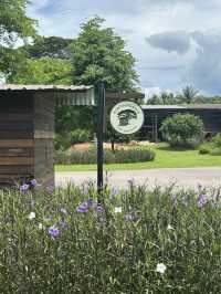 โรงบ่มริมน้ำน่าน คาเฟ่