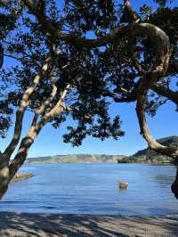 🪨 Huia Beach｜泥灘映山林的靜謐早晨