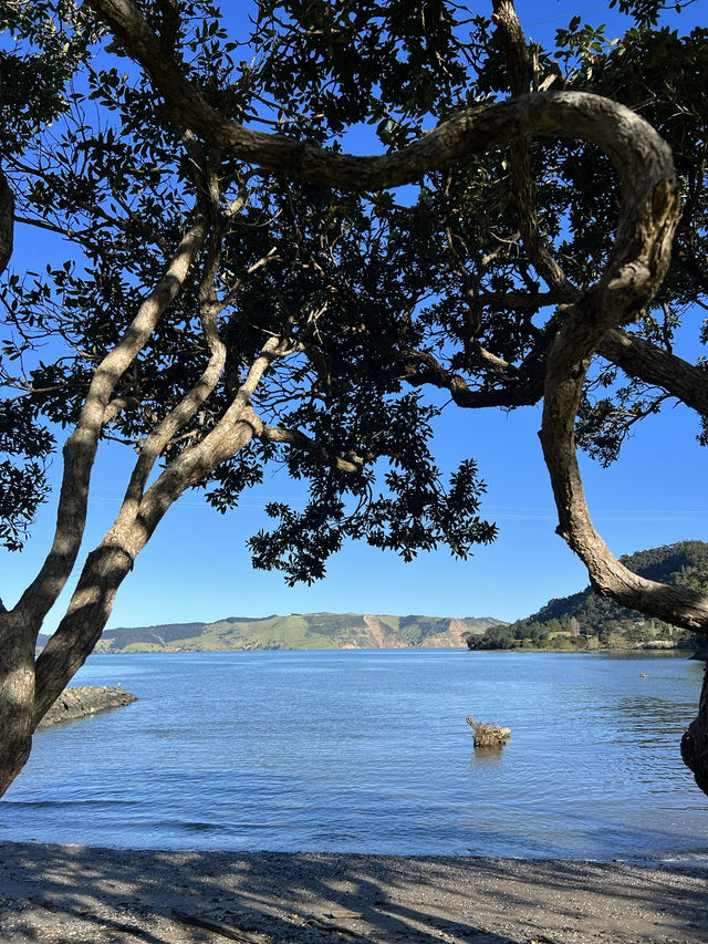 🪨 Huia Beach｜泥灘映山林的靜謐早晨