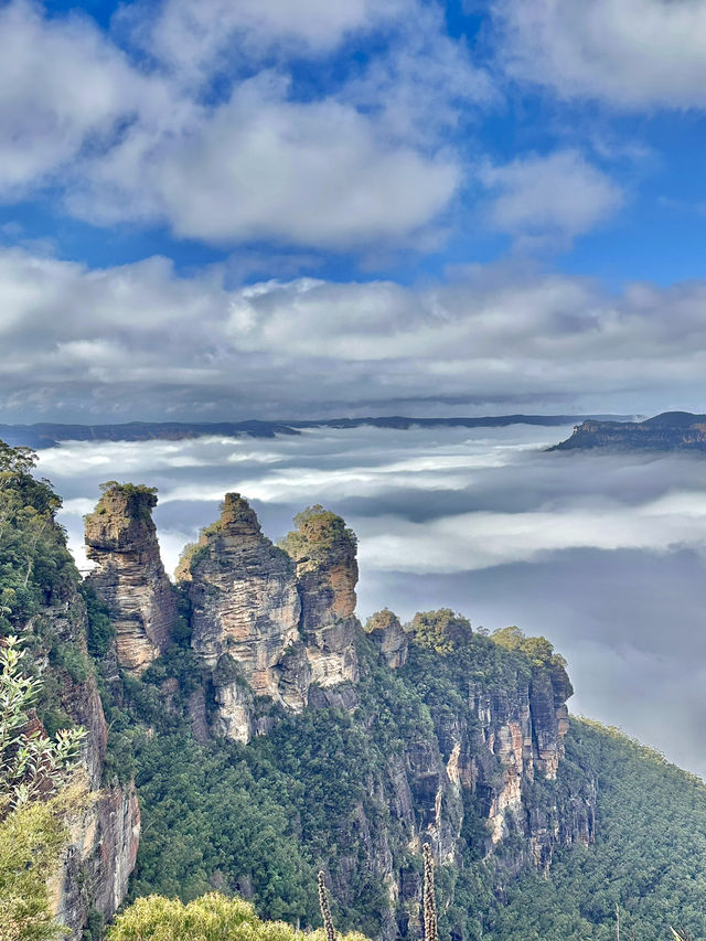 A Sydney escape to remember 