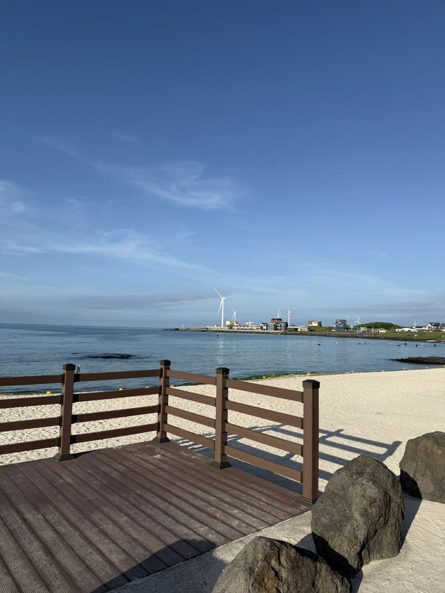 제주도 여행 