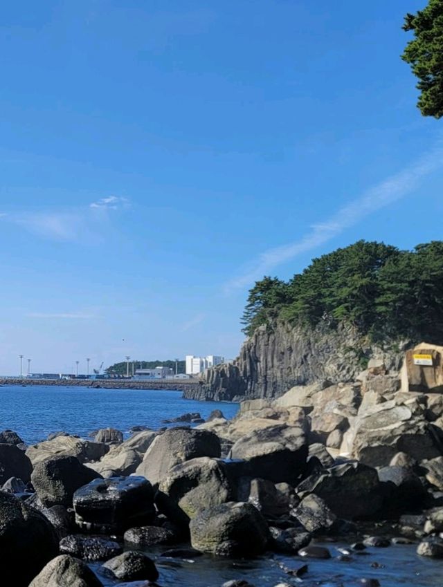 제주도 꼭 가봐야되는 곳