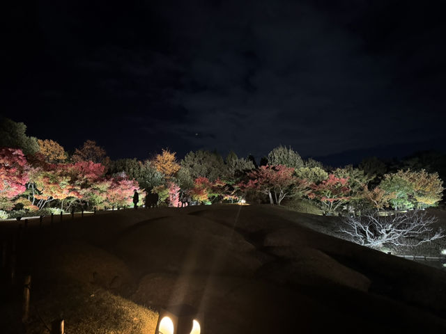 【京都旅行】今年の秋に紅葉見るならここ！！🍁