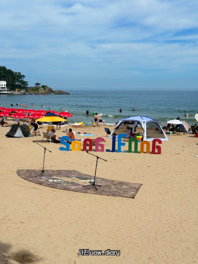 📍 부산 송정해수욕장 여름 여행기✨
