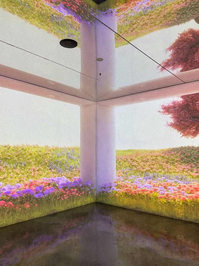 목포, 잘 알려지지 않은 숨은 실내데이트 장소 추천🌌