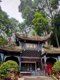 Where the Tao Whispers Through Bamboo – China’s Most Sacred Mountain Escape"