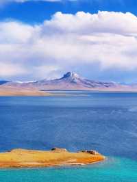 Wild and Free at Changtang Nature Reserve