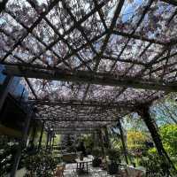 Rosewood Villa Magna