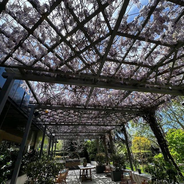 Rosewood Villa Magna