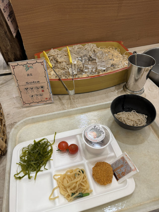 traditional tatami-style hotel at Hokkaido Onsen village 