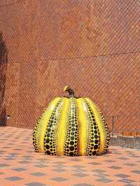Fukuoka Art Museum | Fukuoka
