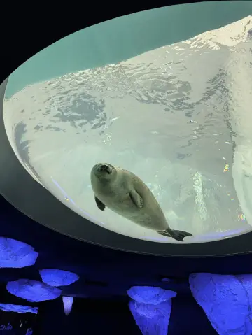 大阪海遊館（Osaka Aquarium Kaiyukan）