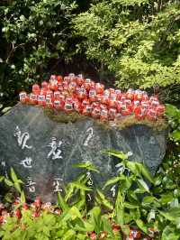 Unveiling the Daruma Temple in Osaka 