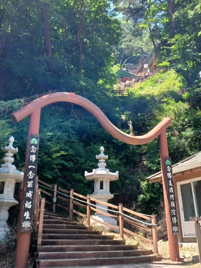 초록으로 물든 여름의 해인사