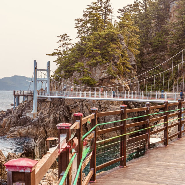 🌊 "Sea Caves & Dragon Legends: Hiking Samcheok’s Chogok Yonggul Coastal Trail