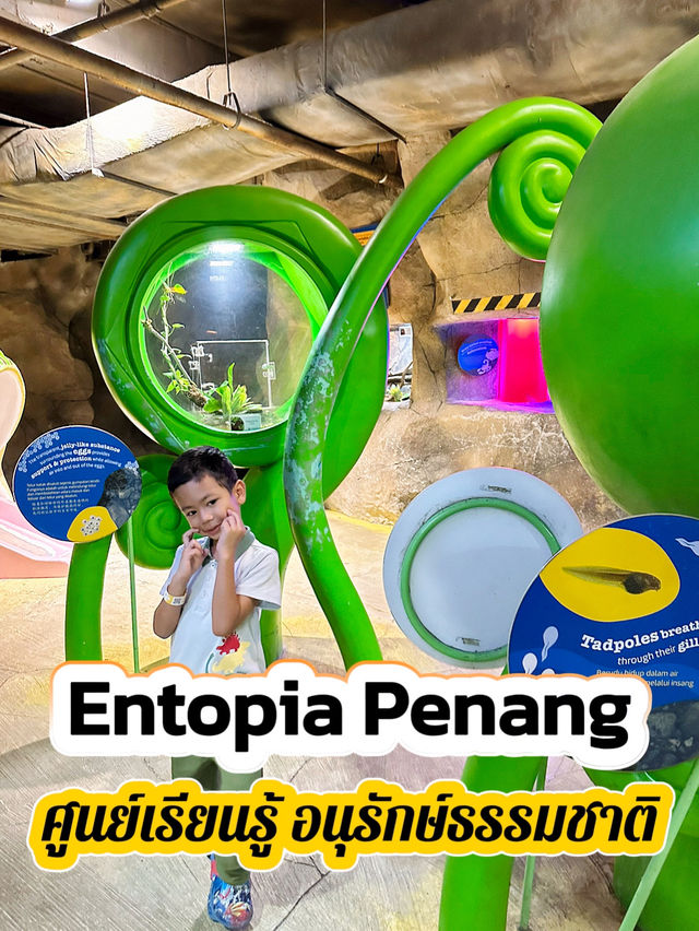 Entopia by Penang Butterfly Farm