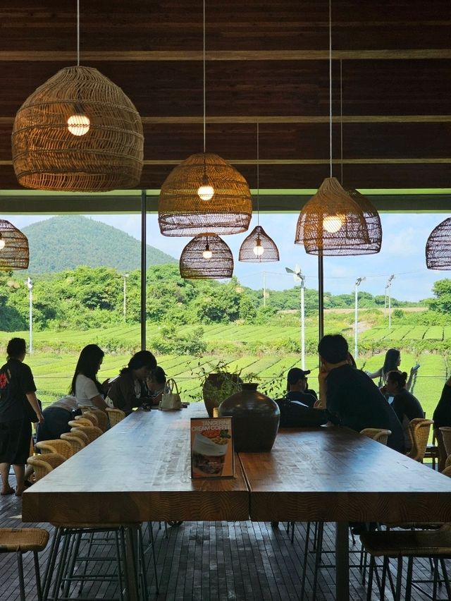茶畑と一体化する癒しカフェ。済州の自然と茶文化を五感で🌱🍵