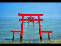 【大魚神社の海中鳥居】潮の満ち引きが生む神秘の絶景⛩️🌊