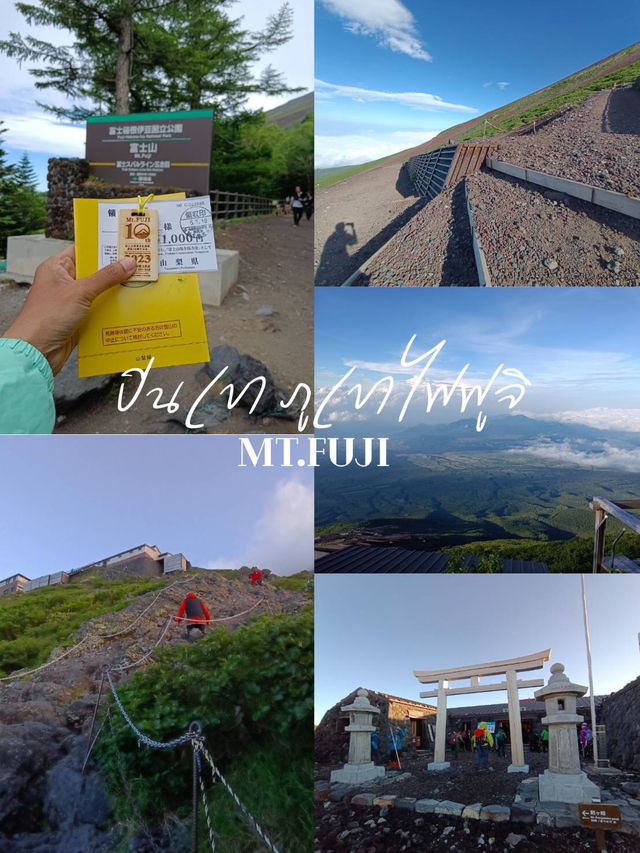 ฤดูกาล ปีนเขา Mt.Fuji