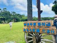 絕對會想一來再來的夏日沖繩旅遊 🏖️#7月好去處2025
