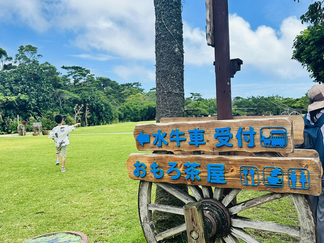 絕對會想一來再來的夏日沖繩旅遊 🏖️#7月好去處2025
