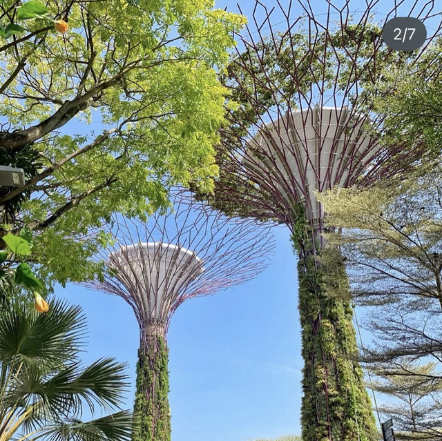 新加坡旅遊行💕
