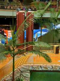🌊 Water World Ocean Park, Hong Kong – Fun in Every Drop!