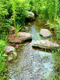 Stone Bridge and Still Waters at Maruyama Park – Kyoto