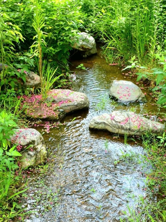 Stone Bridge and Still Waters at Maruyama Park – Kyoto