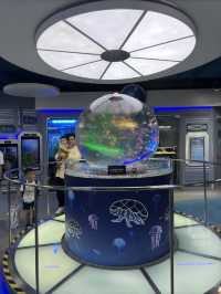 Meet the Shark at KLCC Aquaria