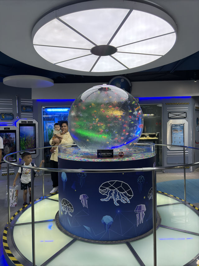 Meet the Shark at KLCC Aquaria