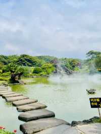 A Refreshing Outdoor Escape with Lush Greenery