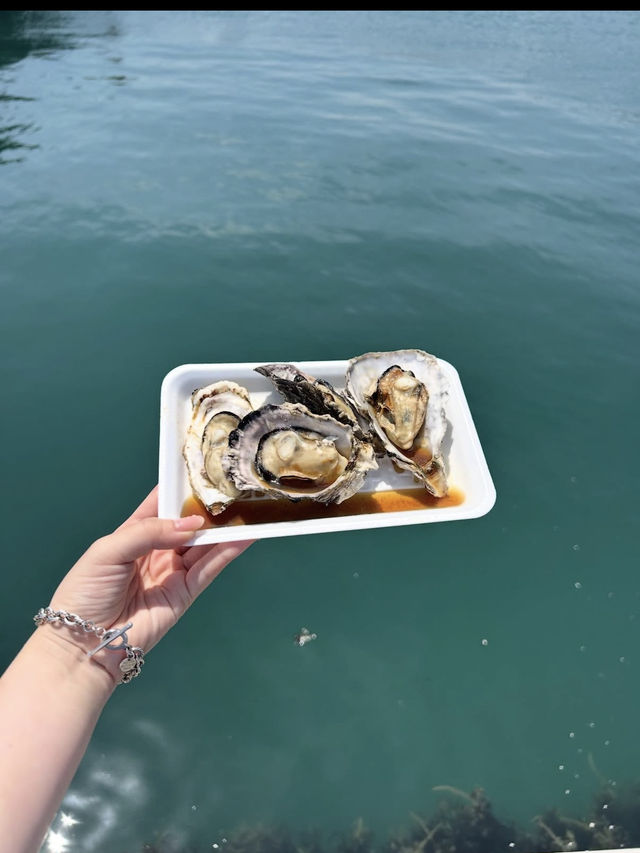 🐟唐戸市場｜新鮮すぎる海鮮グルメ天国！食べ歩きが止まらない