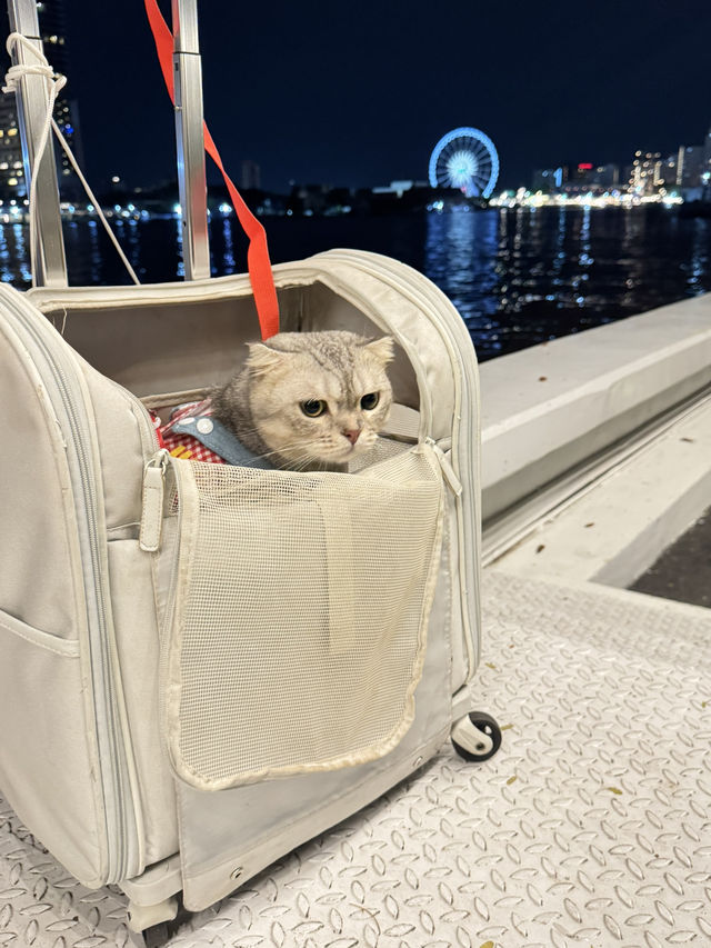โรงแรมริมแม่น้ำเจ้าพระยา Pet Friendly 🐈