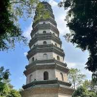 🌿 Escape into Nature at Qingxiu Mountain, Nanning (南宁青秀山)
