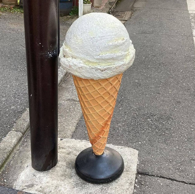 【神奈川/川崎🇯🇵】フロートも出来ちゃう🍨♡BIG BABY ICECREAM