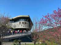 Tranquil Spiritual Retreat at Zhinnan Temple
