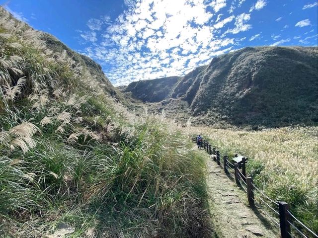 Experience the Tranquil Beauty of Qingtiangang Grassland
