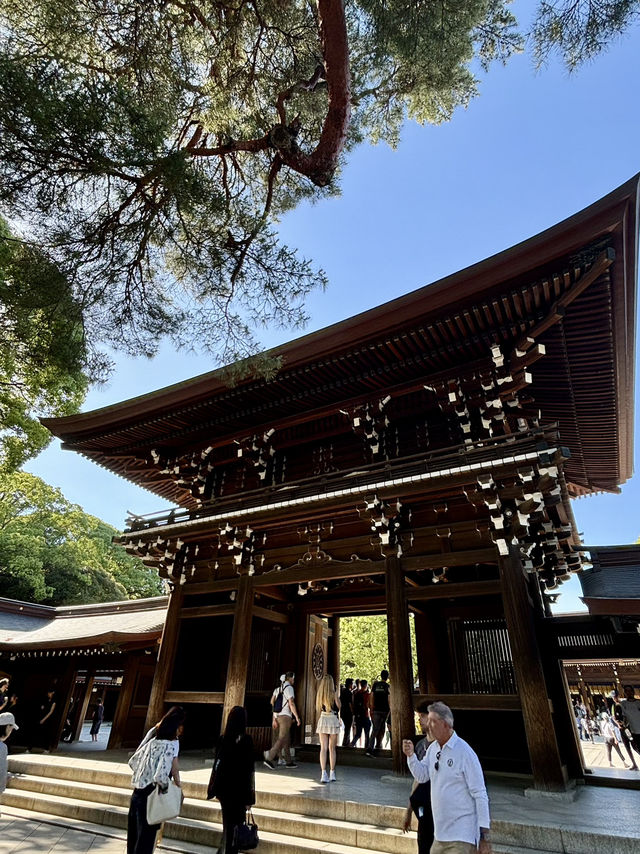 【東京】明治神宮