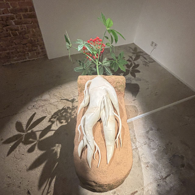 飯後看展 一個地方足以看3個不同特色展覽 飯後看展 一個地方足以看3個不同特色展覽