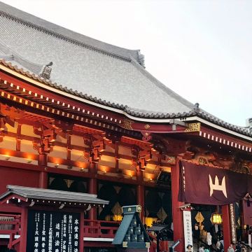 🎊【浅草寺三社祭】伝統と熱気の浅草 みこし祭り🎎2026年 三社祭（三社