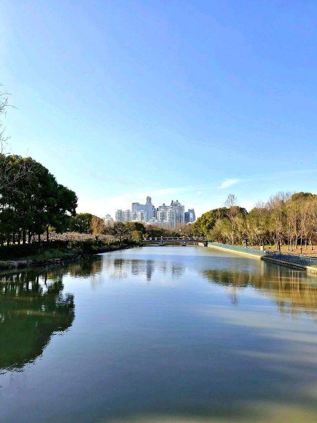 City’s Green Escape: Century Park