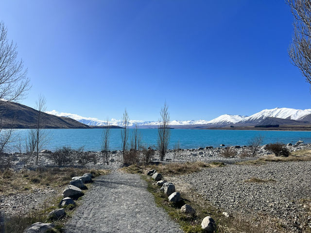 🪑 Lake Tekapo Picnic Bench｜湖畔藍景的專屬座位