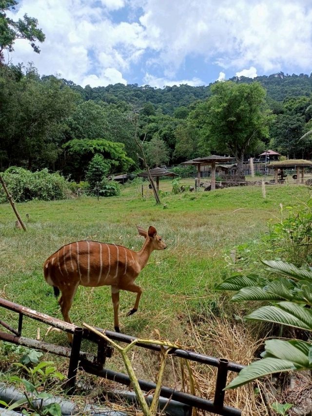 แชร์งบเที่ยวทริปเด็ก ชมสัตว์ชลบุรี